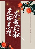 王爺總想奪我兵權